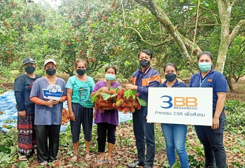 3BB จังหวัดสุราษฎร์ธานี จัดกิจกรรม 3BB ร่วมใจ คนไทยไม่ทิ้งกันเพื่อสนับสนุนผลผลิตทางการเกษตร ของเกษตรกร