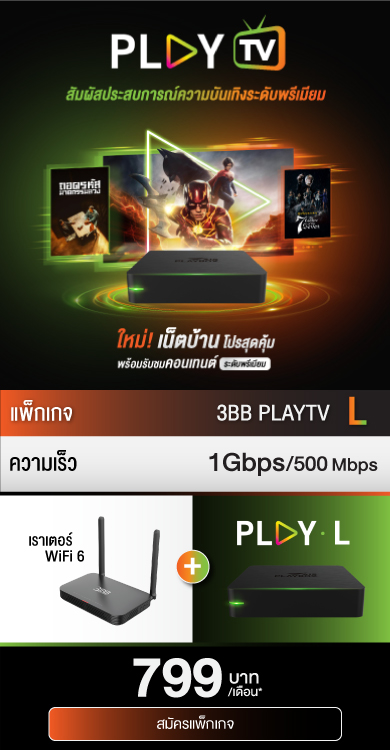 (N) PLAYTV L 1000/500 (799)