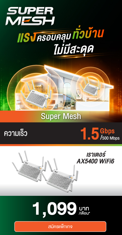 (N) Super Mesh 1500/500 (1099)