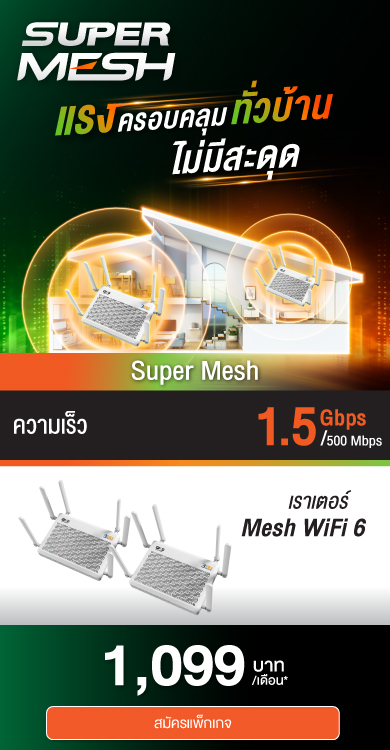 (N) Super Mesh 1500/500 (1099)